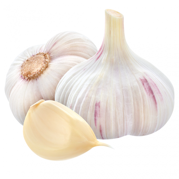 <p>de knoflook</p>