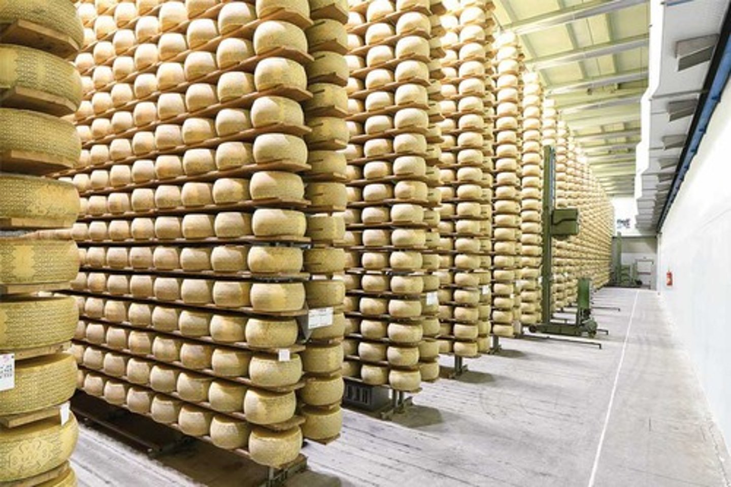 <p>Enzymes and microorganisms cause chemical changes that develop the characteristic aroma, flavor, and texture of cheese.</p>