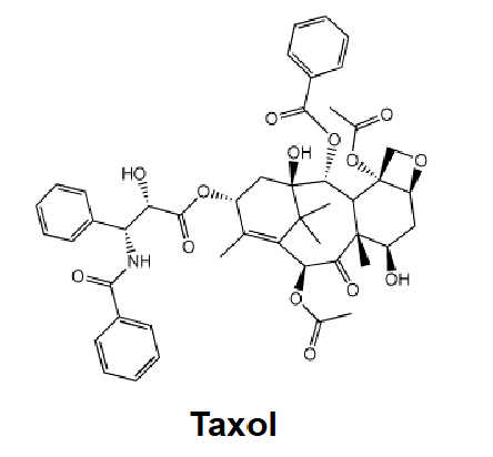 <p>Researches can screen chemical libraries (such as chemical dyes) or plant extracts for drug applicability and if a match is found it can be formulated into a drug </p><p>Ex: </p><p>Paclitaxel (Taxol) → Anticancer drug </p><p>Plant extracts from around the world were tested for anticancer activity </p>