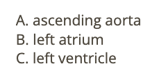 <p>b) ascending AO</p>