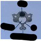 <p>Cervical vertebrae parts </p>