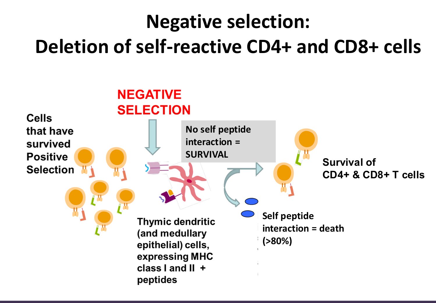 <p>interaction = death</p>