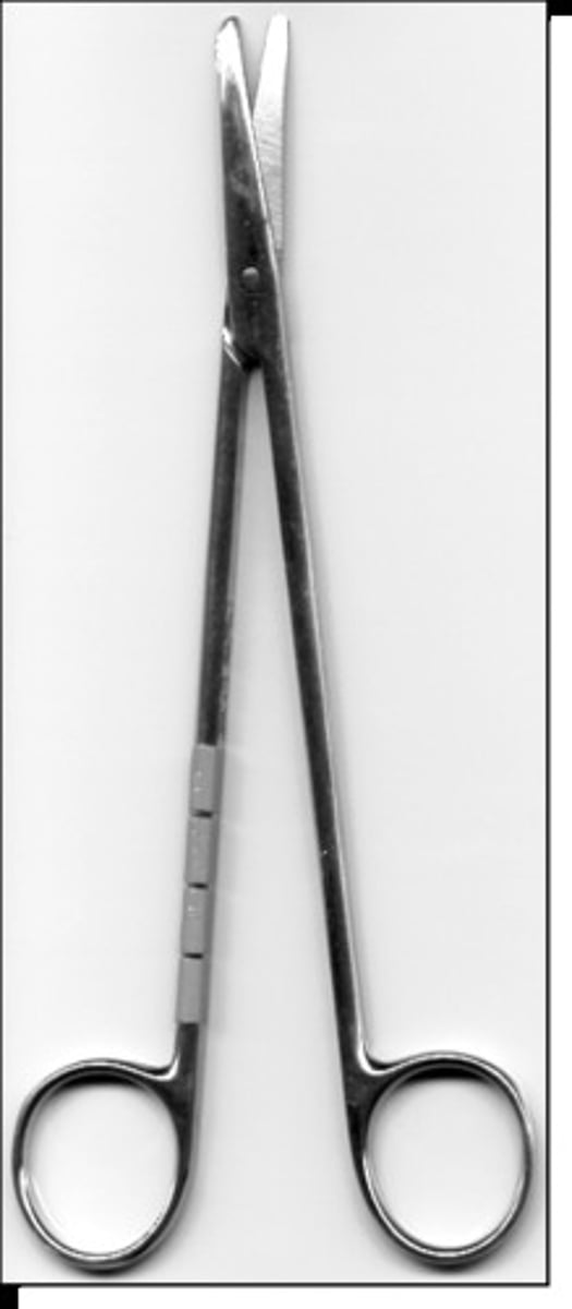 <p>For cutting delicate tissue such as fat or thin muscle</p>