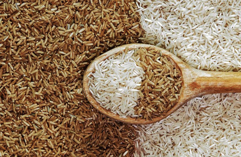 <p>by <strong>introducing fungi-resistant alleles from another wheat/rice species</strong> to<strong> improve crop yield and disease resistance over many generations</strong></p>