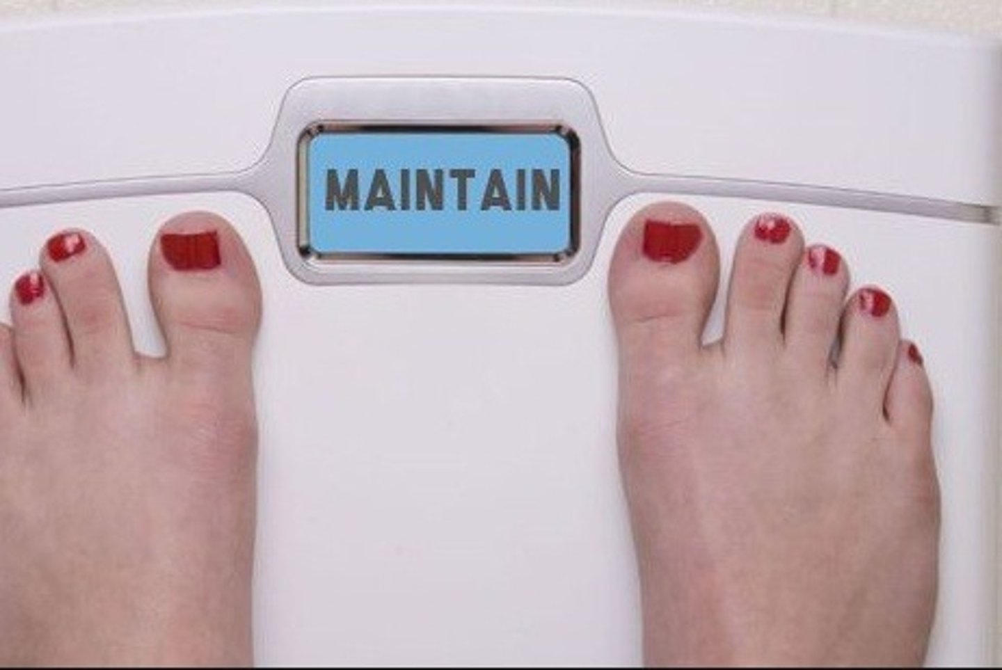 <p>to maintain, keep</p>