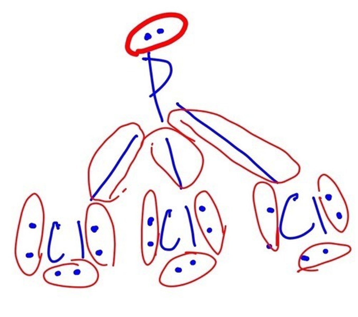 <p>13</p>