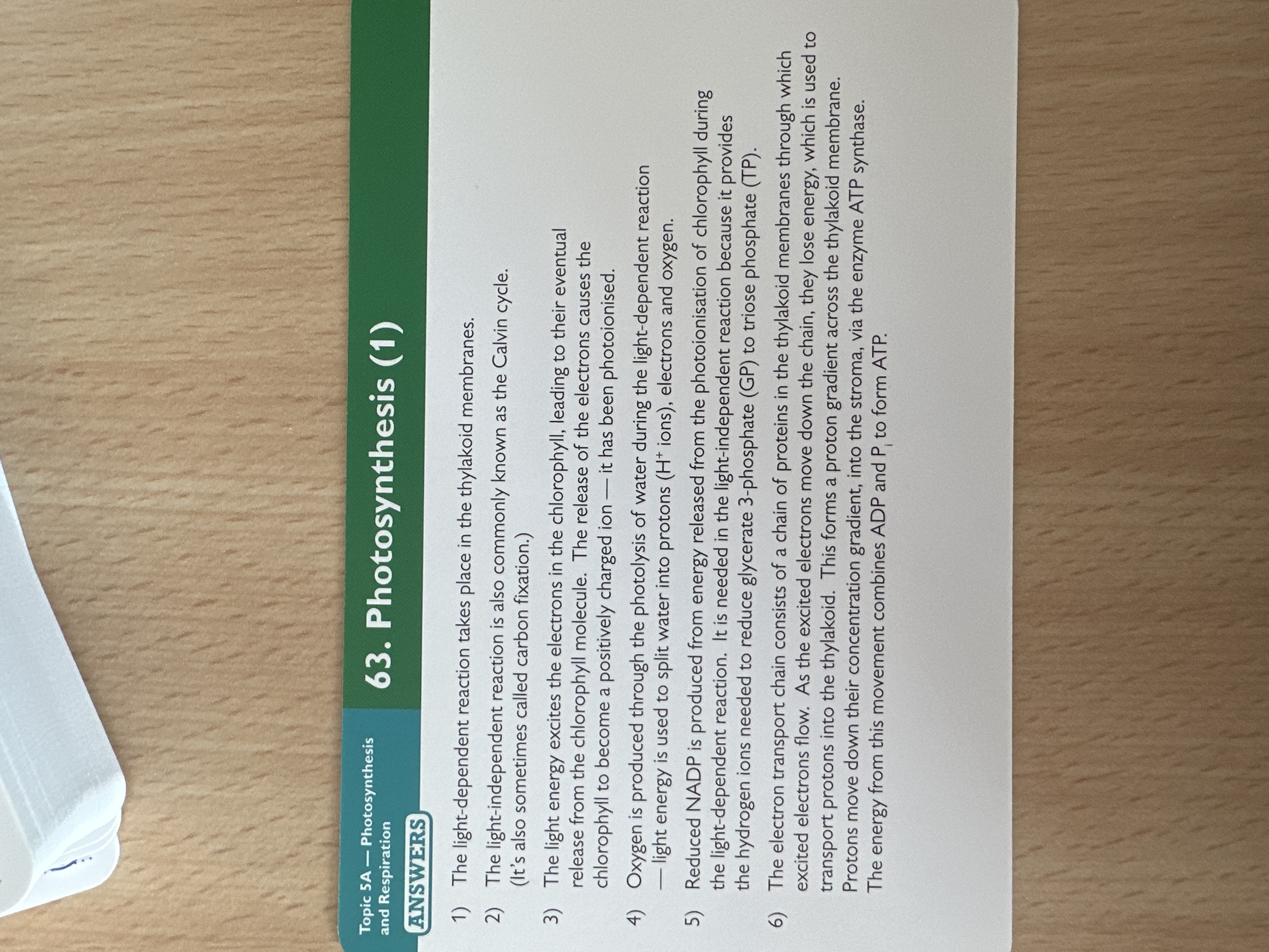 knowt flashcard image