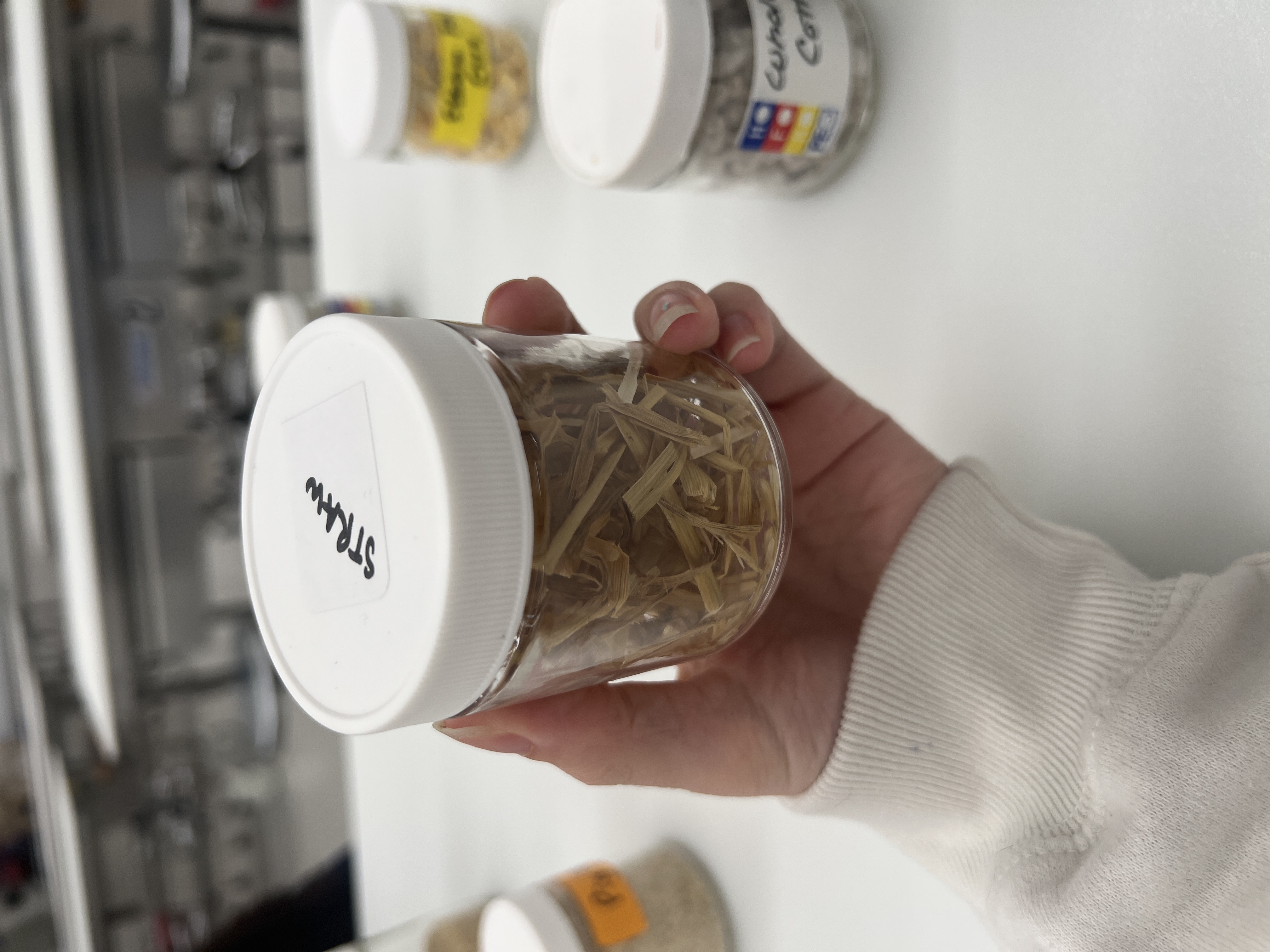 <ul><li><p>IFN # and category: 1 dry roughage</p></li><li><p>AAFCO category: roughage product</p></li><li><p>appearance: yellow dried out hay</p></li></ul><p></p>