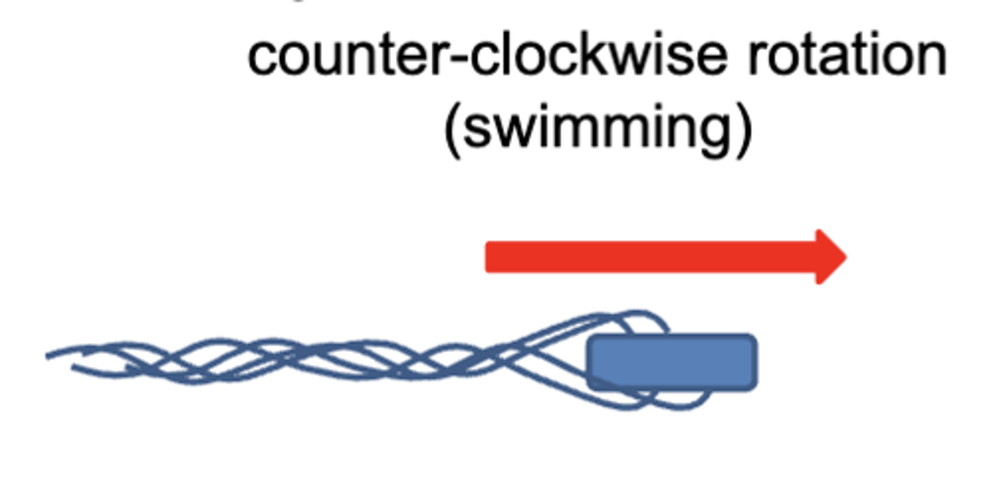 <p>counter-clockwise</p>