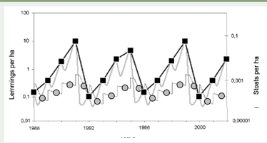 <p>why are predator prey graphs not usually smooth curves</p>