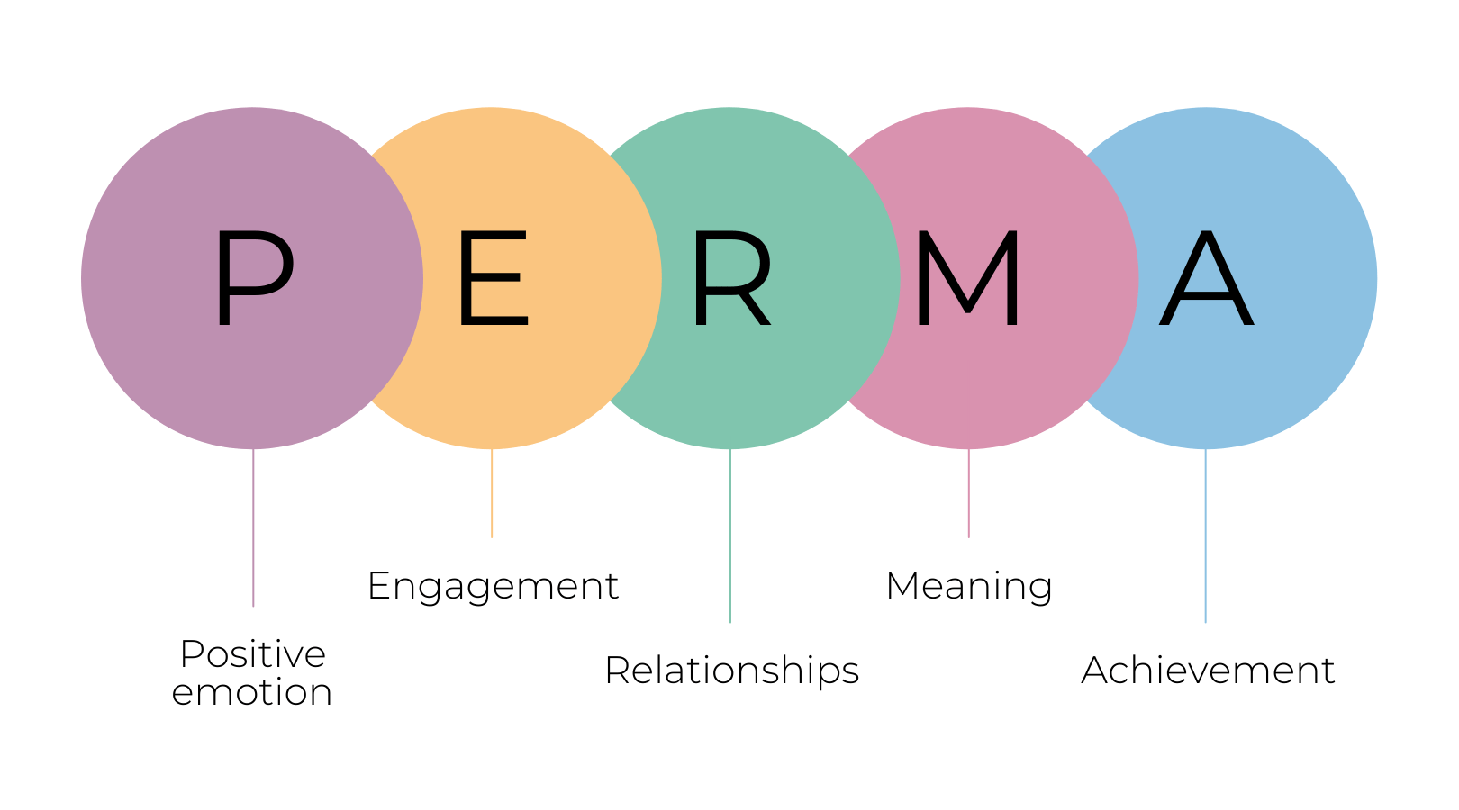 <p>Positive Psychology</p>