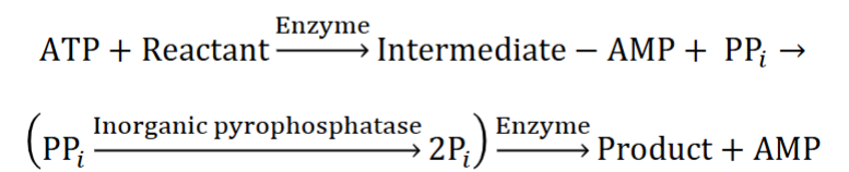 <ul><li><p><span style="color: rgb(0, 0, 0);">Some chemical reactions require hydrolysis of 2 “high- energy” bonds to reach completion</span></p></li><li><p><span style="color: rgb(0, 0, 0);">A. Achieved by hydrolyzing ATP to AMP &amp; PPi (pyrophosphate), followed by PPi hydrolysis to 2 Pi (inorganic phosphate) (look at pic)</span></p></li></ul><p></p>