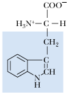 <p>What is the 1 letter abbreviation for Tryptophan?</p>
