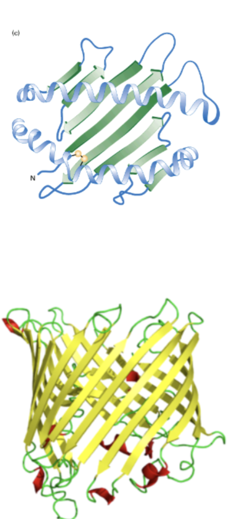 <p>Name this structure</p>