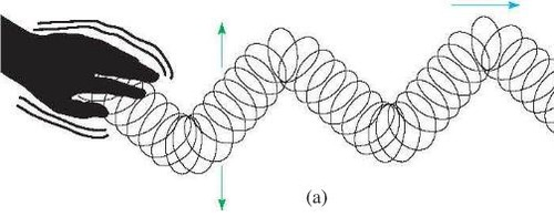 <p>wave in which the particles of the medium move perpendicularly to the direction the wave is traveling</p>