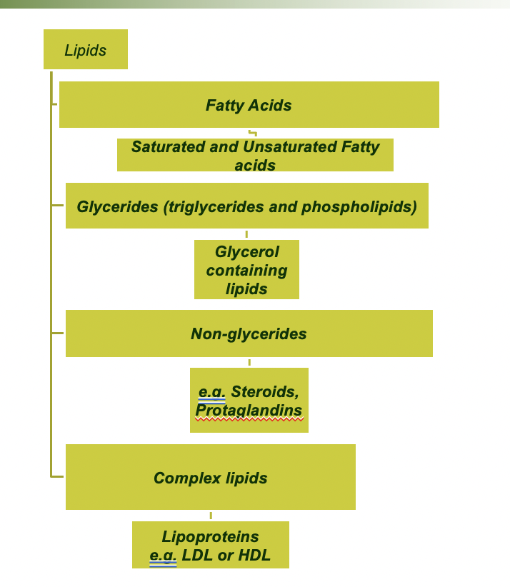 lipids:

* fatty acids (sat & unseat)
* glycerides (triglycerides and phospholipids)
  * glycerol containing lipids
* non-glycerides
* complex lipids
  * lipoproteins (LDL, HDL)