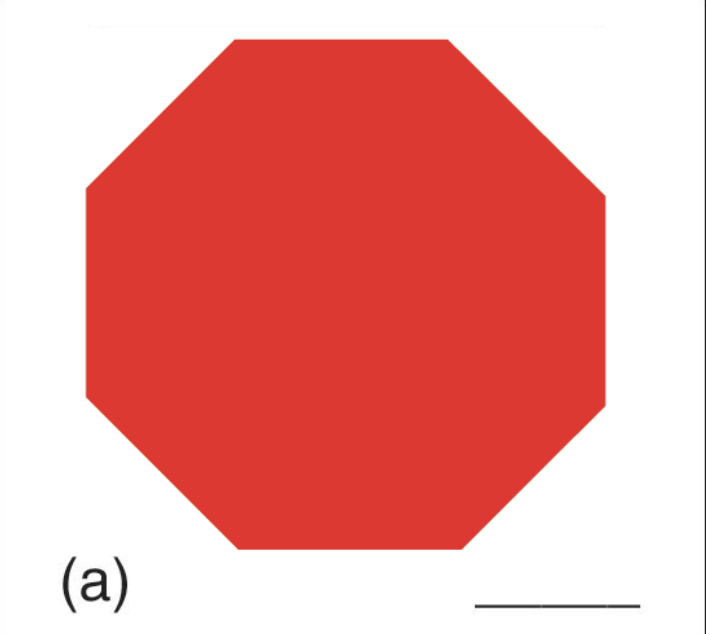 <p></p>