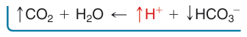 <p>a disturbance of mass balance that occurs when the dietary intake and metabolic input of H+ exceeds H+ excretion.</p>