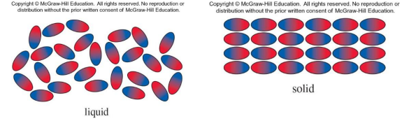 <p>attractive forces that act between polar molecules. </p><p>The magnitude of the attractive forces depends on the magnitude of the dipole.</p><p>• Red is high electron density (δ−) and blue is low (δ+)</p>