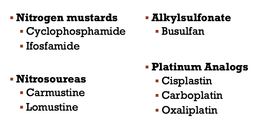 <ul><li><p>Nitrogen mustards</p></li><li><p>Nitrosoureas</p></li><li><p>Alkylsulfonate</p></li><li><p>Platinum analogs</p></li></ul>