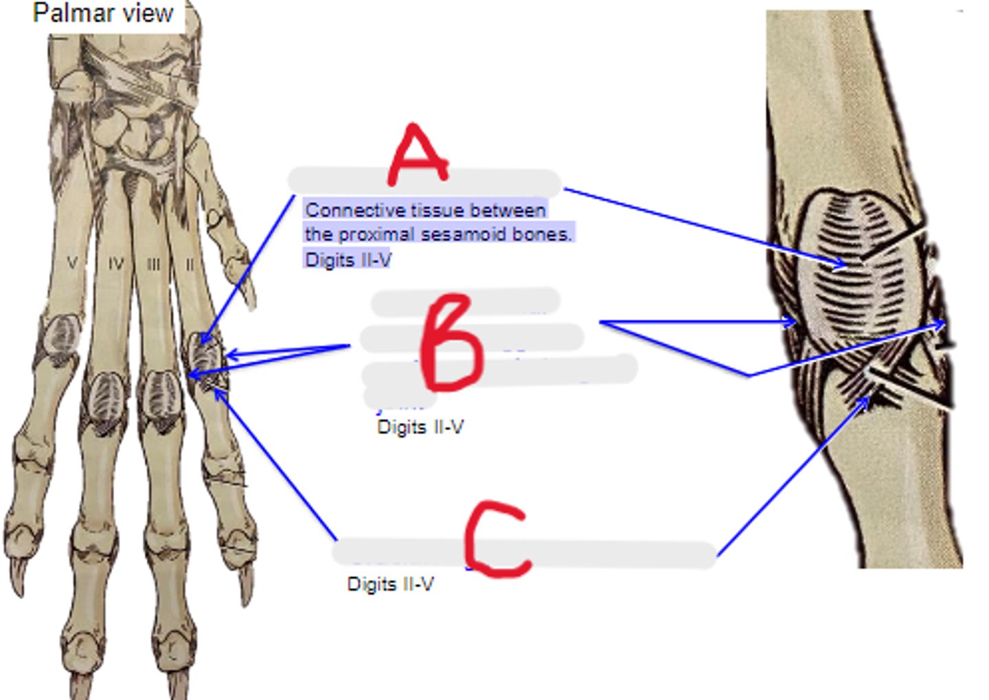 <p>What is C?</p>