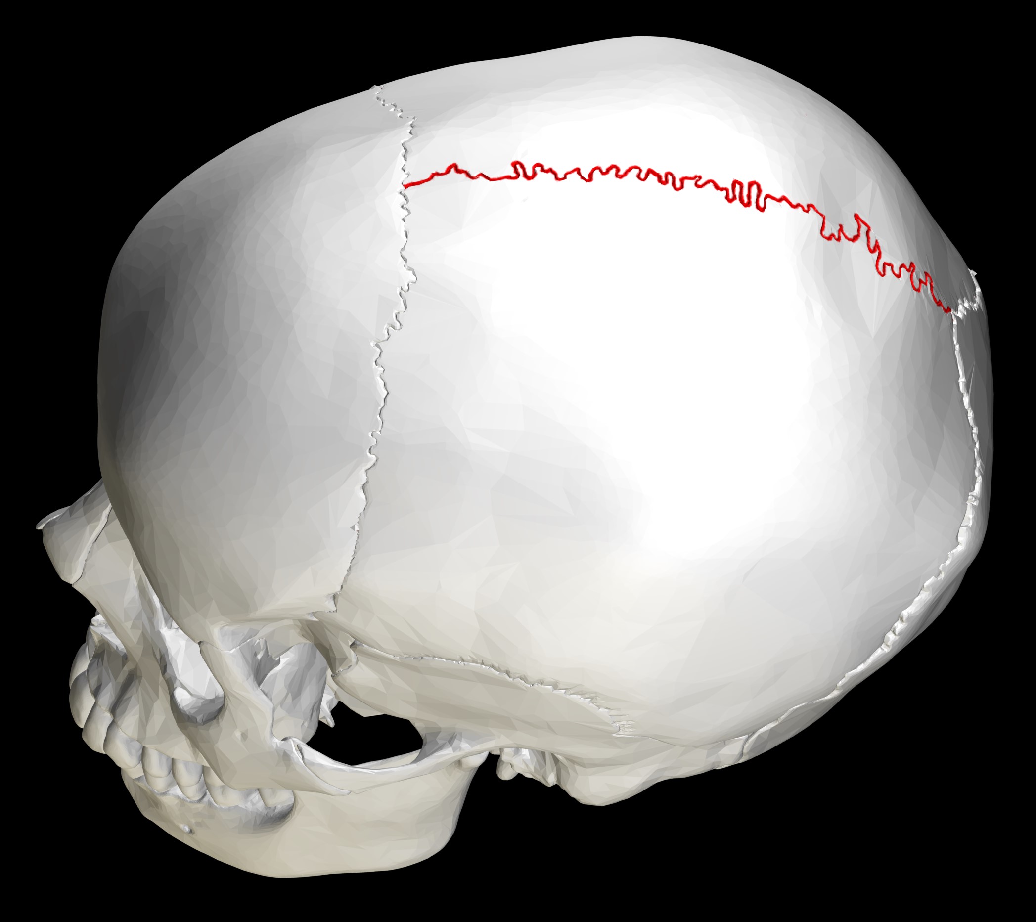 <p>What does this structure correspond with?</p>