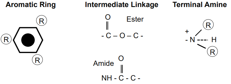 <ul><li><p class="">Local anaesthetics have a general structure with:</p><ul><li><p class=""><strong>Aromatic ring</strong> (lipophilic)</p></li><li><p class=""><strong>Intermediate linkage</strong> (either ester or amide)</p></li><li><p class=""><strong>Terminal amine</strong> (hydrophilic)</p></li></ul></li><li><p class="">They are all weak bases.</p></li><li><p class=""><strong>Amino esters</strong> and <strong>amino amides</strong> are the two classes of local anaesthetics.</p></li></ul><p></p>