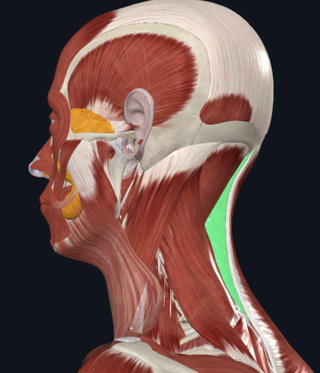 <p>What is highlighted</p>