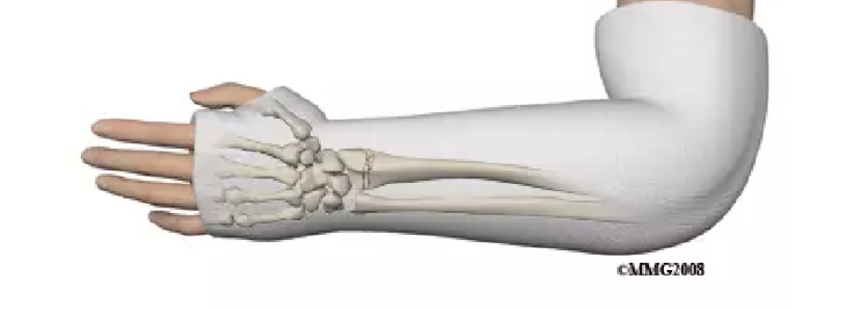 <p>What is this?</p>