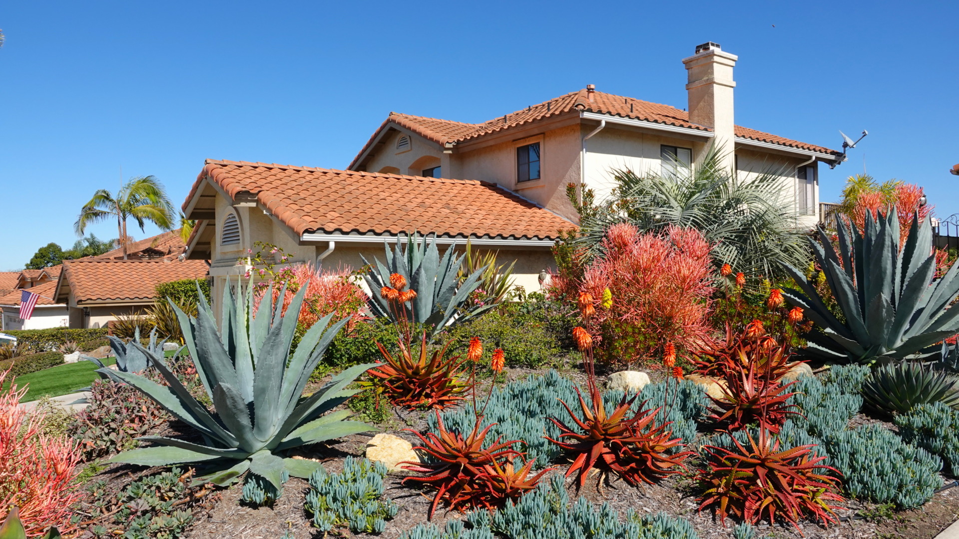 xeriscaping
