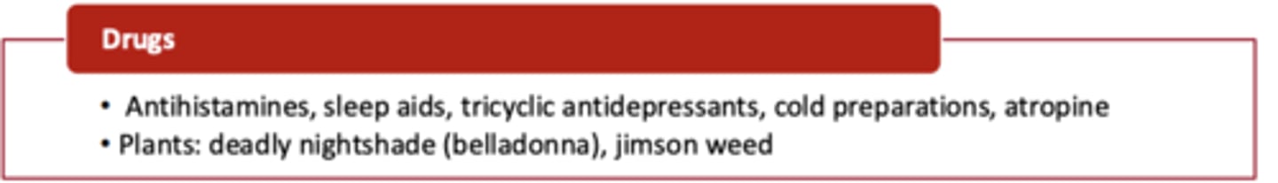 <p>D. None of the above</p><p>- anticholinergic</p>