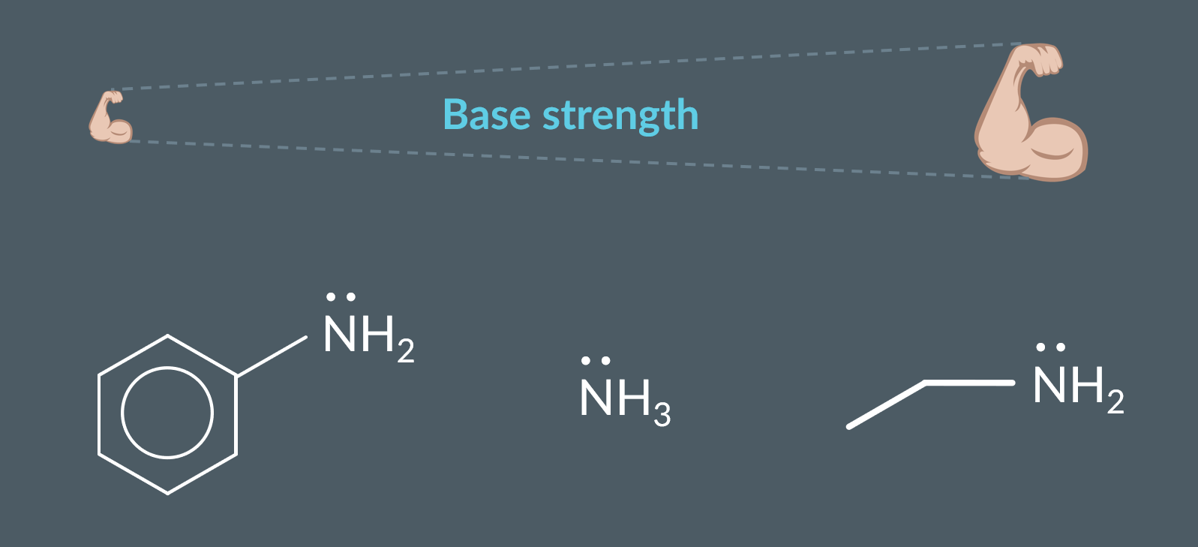 <p>Aliphatic amines are stronger bases than ammonia, which is a stronger base than aromatic amines.&nbsp;</p>