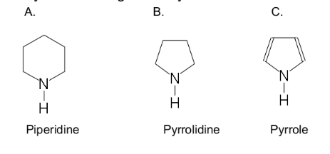 <p>Piperidine</p><p>Pyrrolidine</p><p>Pyrolle</p>