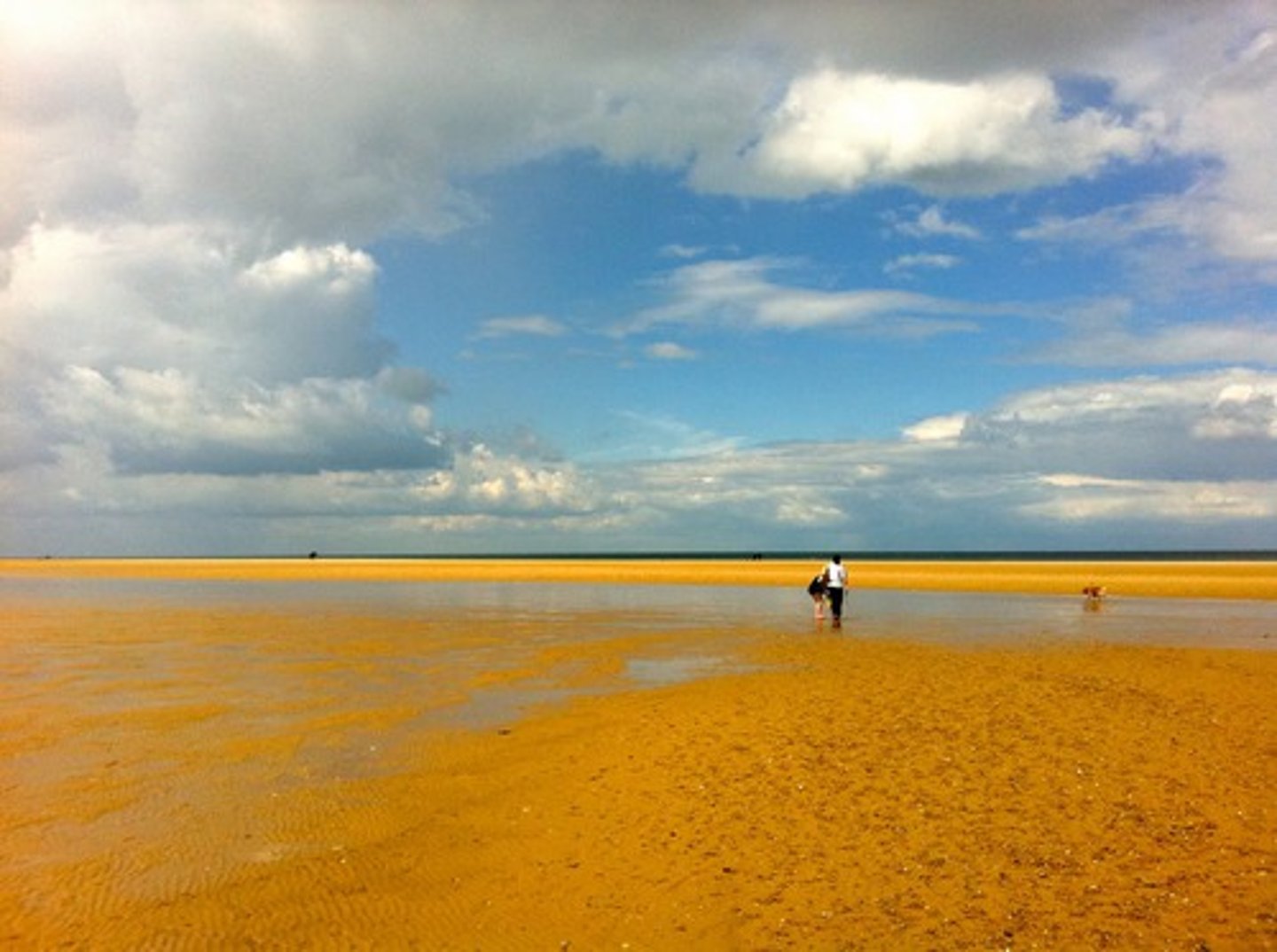 <p>large, wide area (một dải không gian bao la, bát ngát)</p>