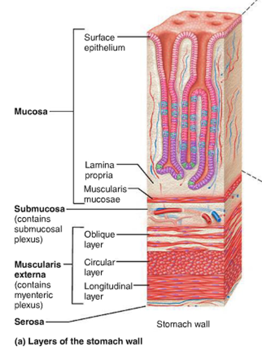 <p>structures too small to be seen with the naked eye</p>