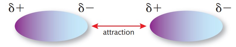 <p>What are <strong>dipole-dipole </strong>forces?</p>