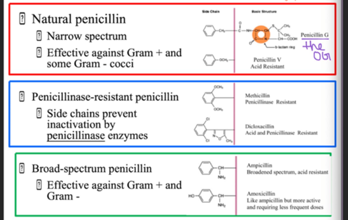 <p>R groups</p>