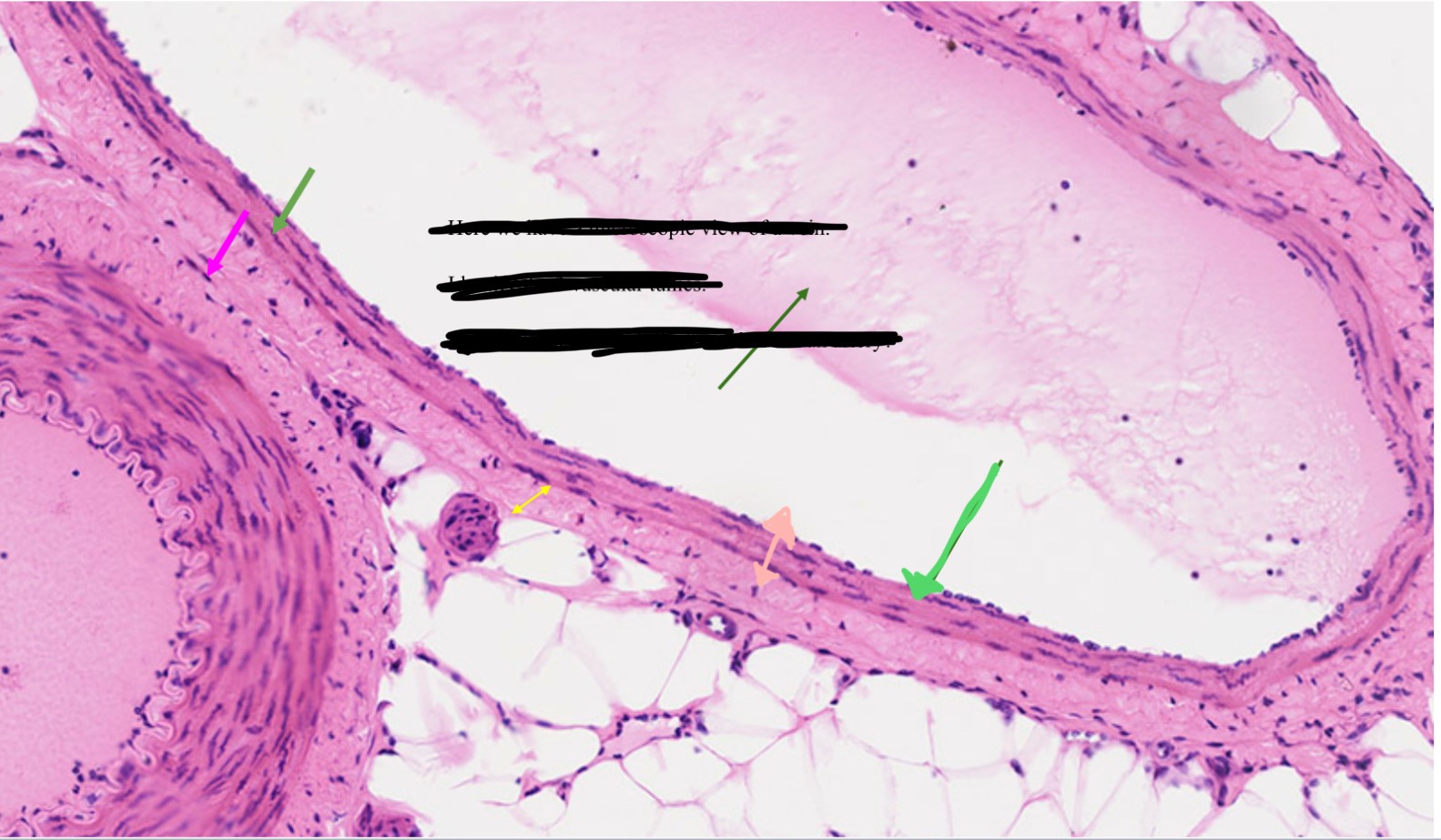 <p>Name the green</p>