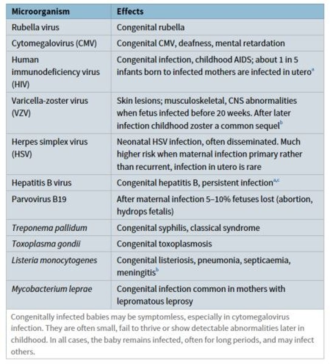 <p>1) Rubella infection during pregnancy = causes congenital rubella syndrome (deafness, cardiac abnormalities, cataracts and other eye defects)</p><p>2) Varicella infection during pregnancy = causes limb hypoplasia, microcephaly, cataracts, growth retardation and skin scarring.</p>