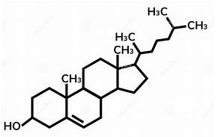 <p>ID this structure</p>