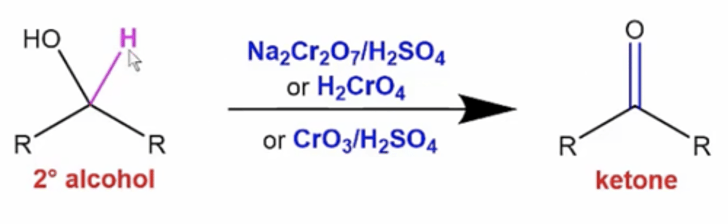 <p>it oxidizes the carbon attached to the alcohol to become a ketone</p>