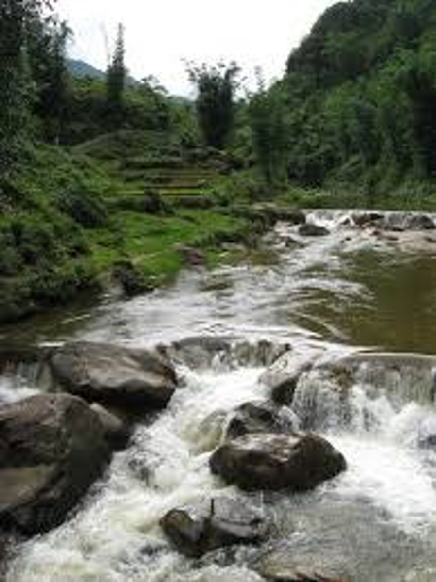 <p>A fast-flowing and turbulent part of the course of a river</p>
