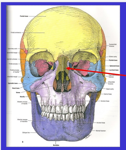 <p>What is the arrow?</p>