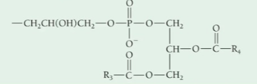 <p>Formula of —X is in the picture, what is..</p><ul><li><p>Name of X—OH</p></li><li><p>Name of Phospholipid</p></li></ul><p></p>