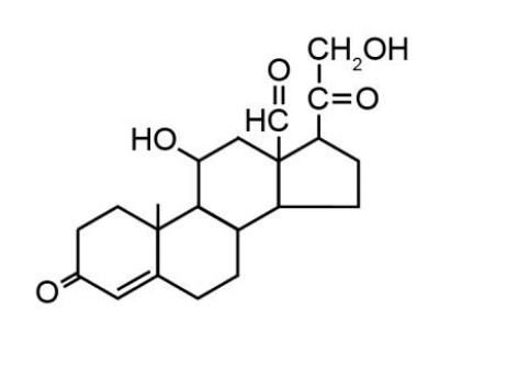 <ul><li><p>hormone<strong> aldosterone</strong></p><ul><li><p>→ mineralcorticoid</p></li><li><p>effects plasma electrolytes</p></li></ul></li></ul><p></p>