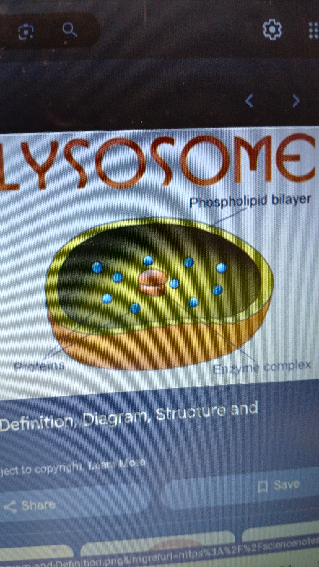 knowt flashcard image