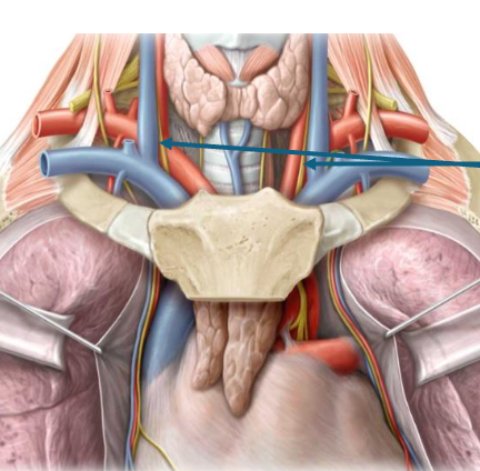 <p>? and location </p>