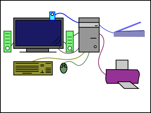 any device connected to a host