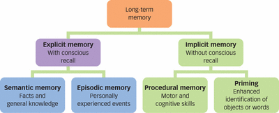 <p>long-term memory</p><p>can be moved form LTM to STM when needed </p><p>potentially unlimited </p><p>non conscious </p>