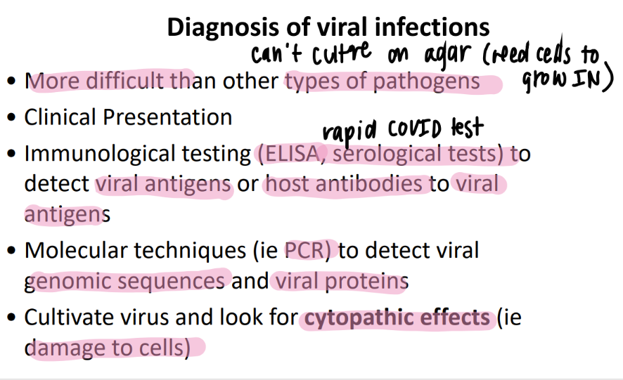 <ol><li><p>symptoms of infection </p></li><li><p>cultiVATE virus + look for cytopathic effects (damage to cells) </p><ul><li><p>canNOT grow on agar </p></li></ul></li></ol>
